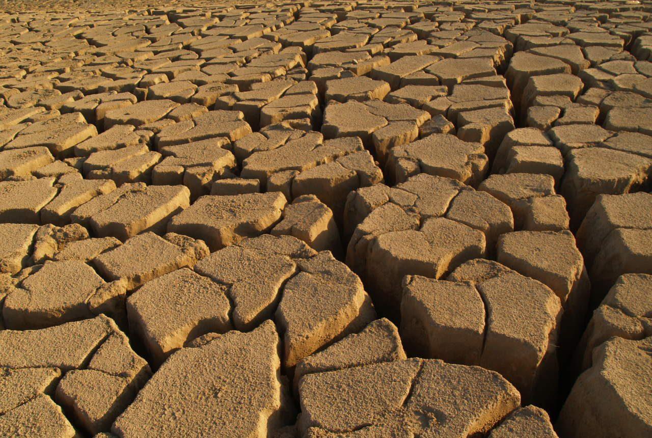 بسبب التصحر.. الأمم المتحدة: العراق يفقد 100 ألف دونم سنويا من أراضيه