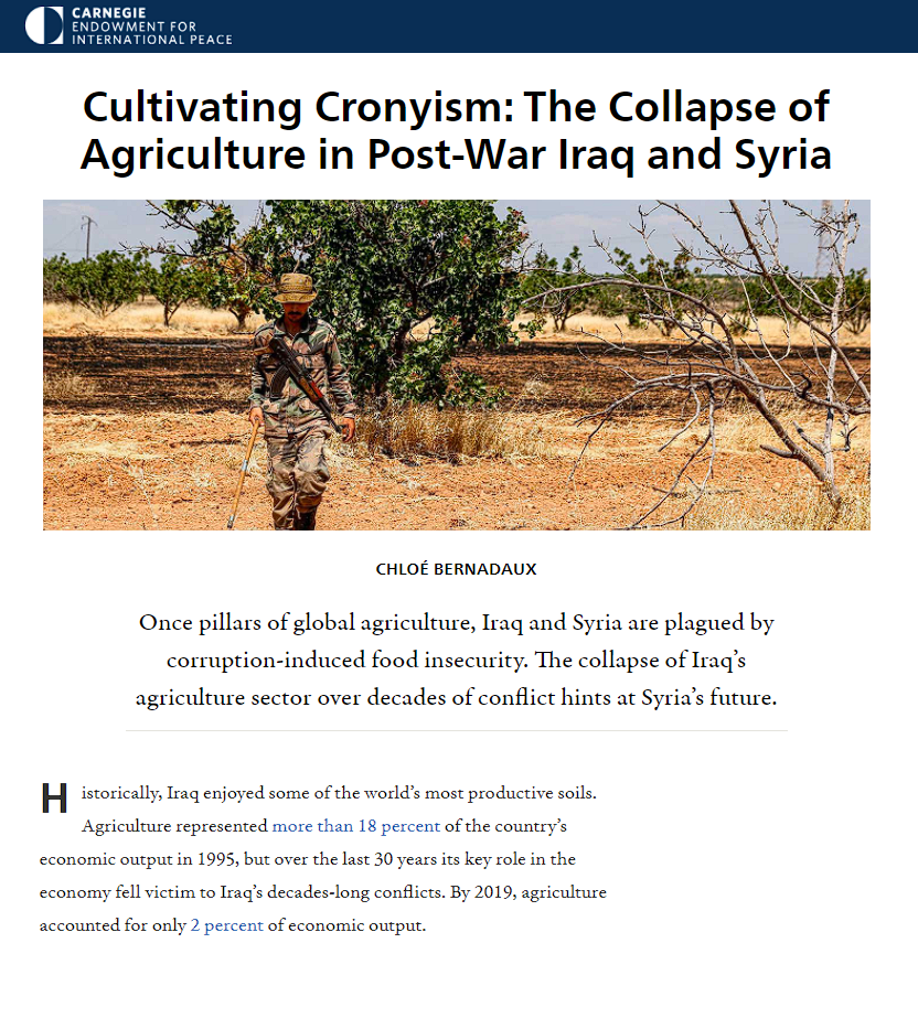 معهد كارينغي للسلام: قطاع الزارعة في العراق ضحية الفساد والإهمال والمحسوبية