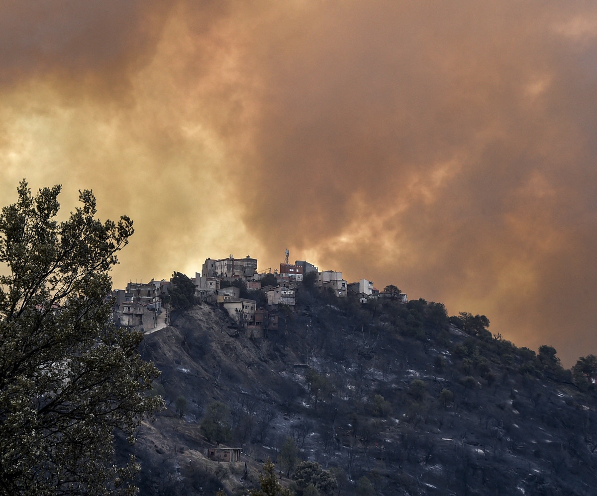 تونس: السيطرة على حرائق غابات اندلعت بمدينتين قرب الحدود مع الجزائر