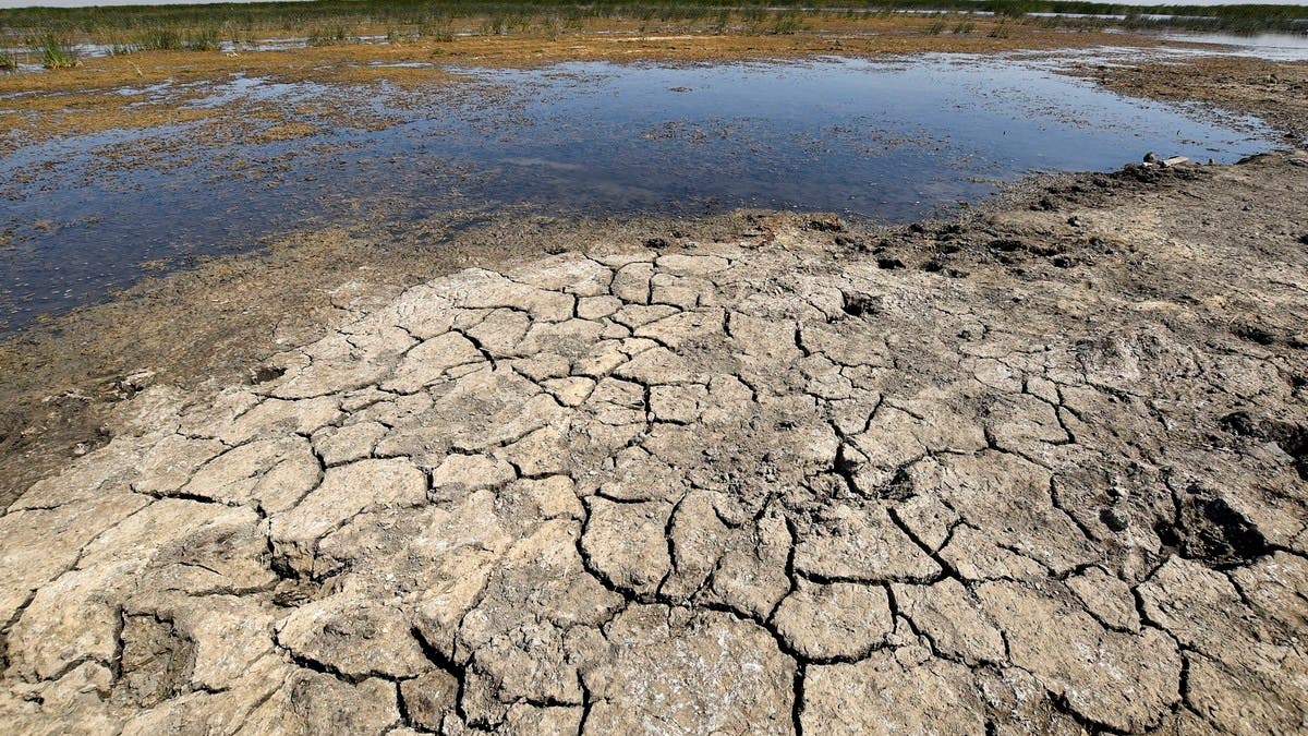 لو أورينت: الحكومة العراقية تخفض المحاصيل الزراعية بدلا من المطالبة بحقوق العراق المائية