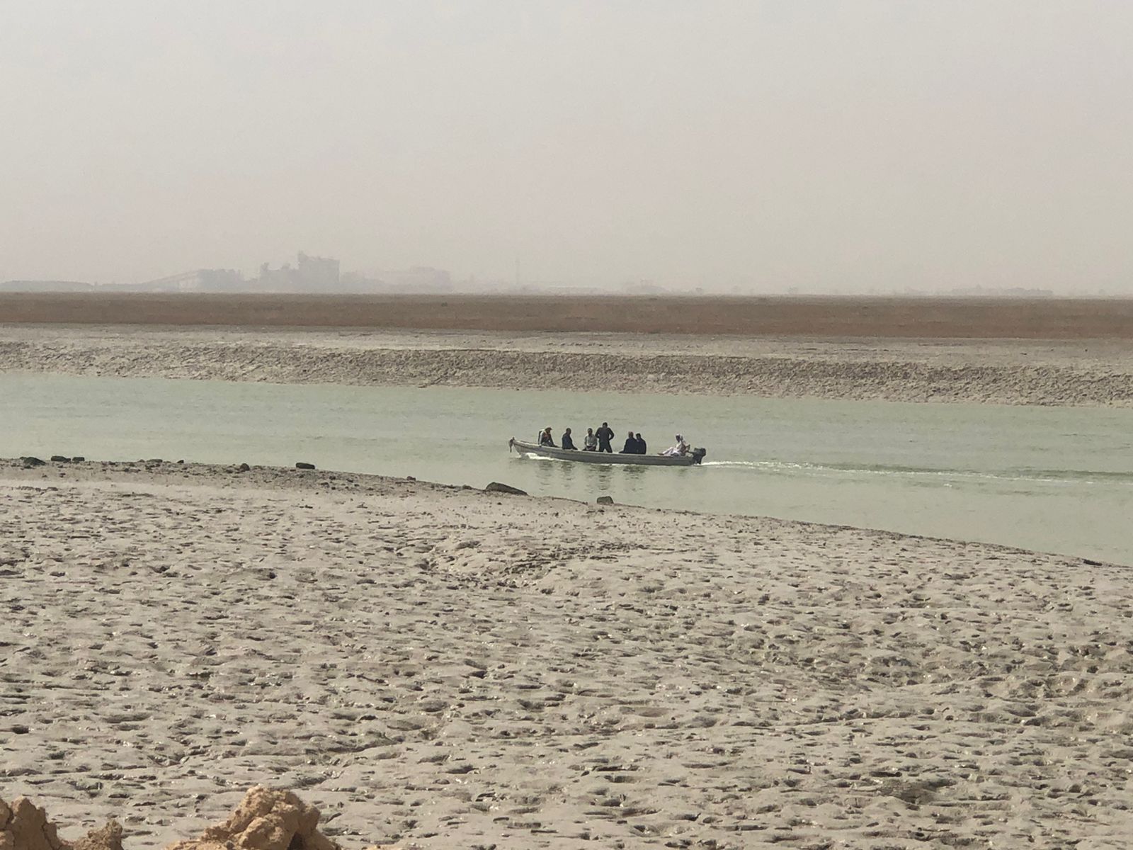 انطلاق مشروع إستزراع نبات المانگروف لحفظ التوازن البيئي في العراق