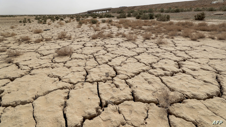أسوشيتد برس: محاصيل العراق في خطر بسبب شح المياه