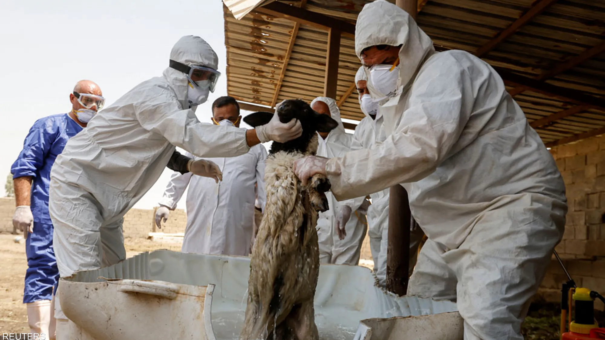 ماذا تعرف عن الحمى النزفية التي تضرب العراق؟