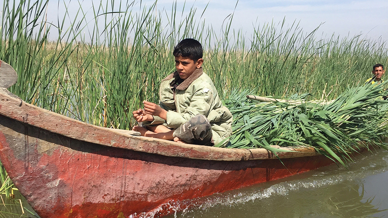 أهوار العراق من أرض غنية بالمياه إلى يابسة وقاحلة