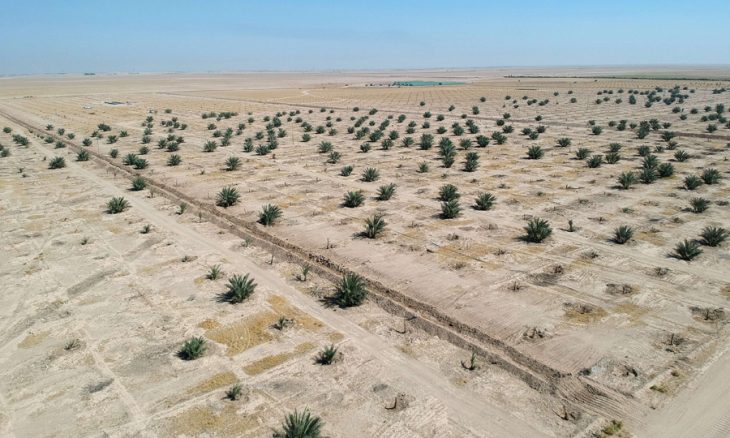 بسبب الجفاف والاهمال الحكومي وفقدان الاراضي الزراعية ينذران بأزمة غذائية قريبا