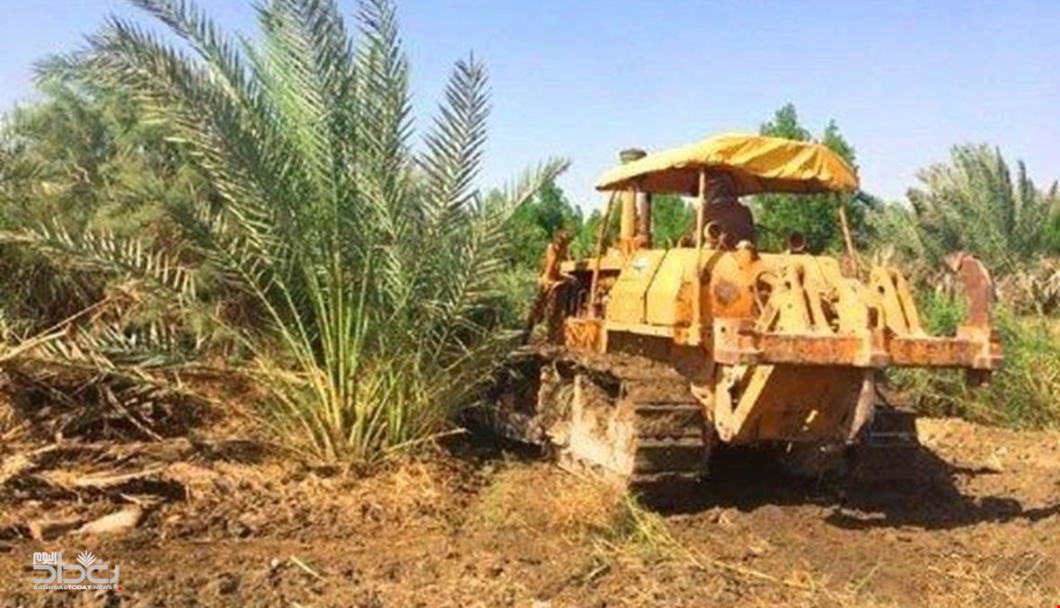 مسؤول محلي: انحسار مافيات الأراضي في ديالى بعدما كانت متنفذة