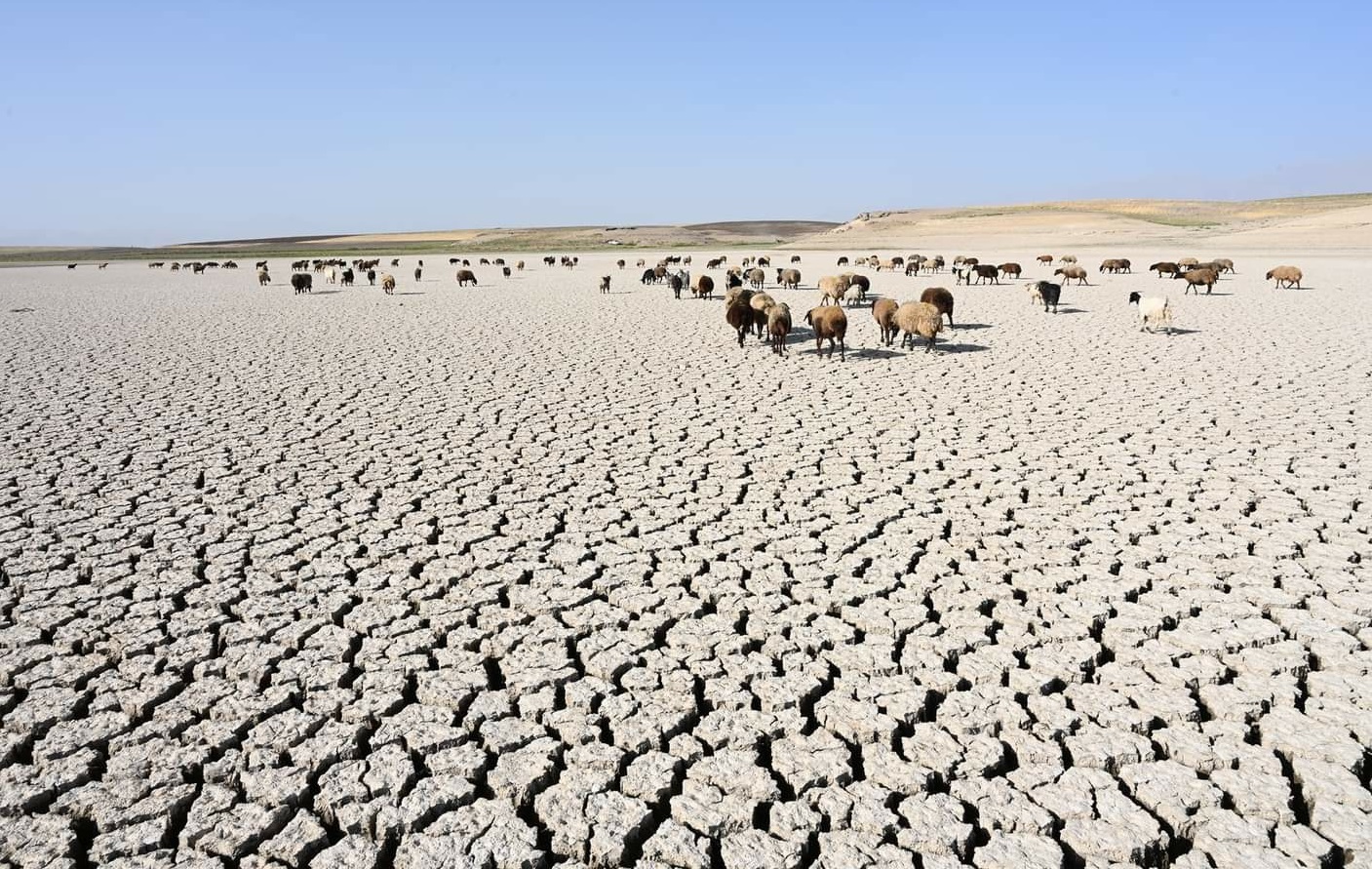 ايران حولت مسار 44 رافد لدجلة .. الموارد المائية : خزين الامطار لا يتجاوز 600 مليون متر مكعب