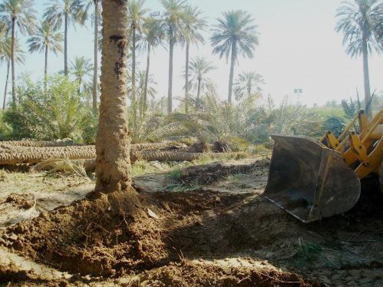 الحكومة تطلق رصاصة الرحمة على الزراعة