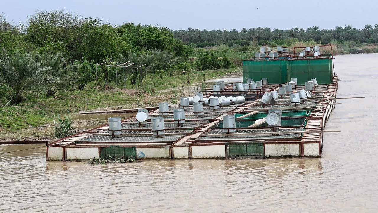 الموارد المائية  تغلق جميع بحيرات الأسماك المشيدة على الفرات في الانبار