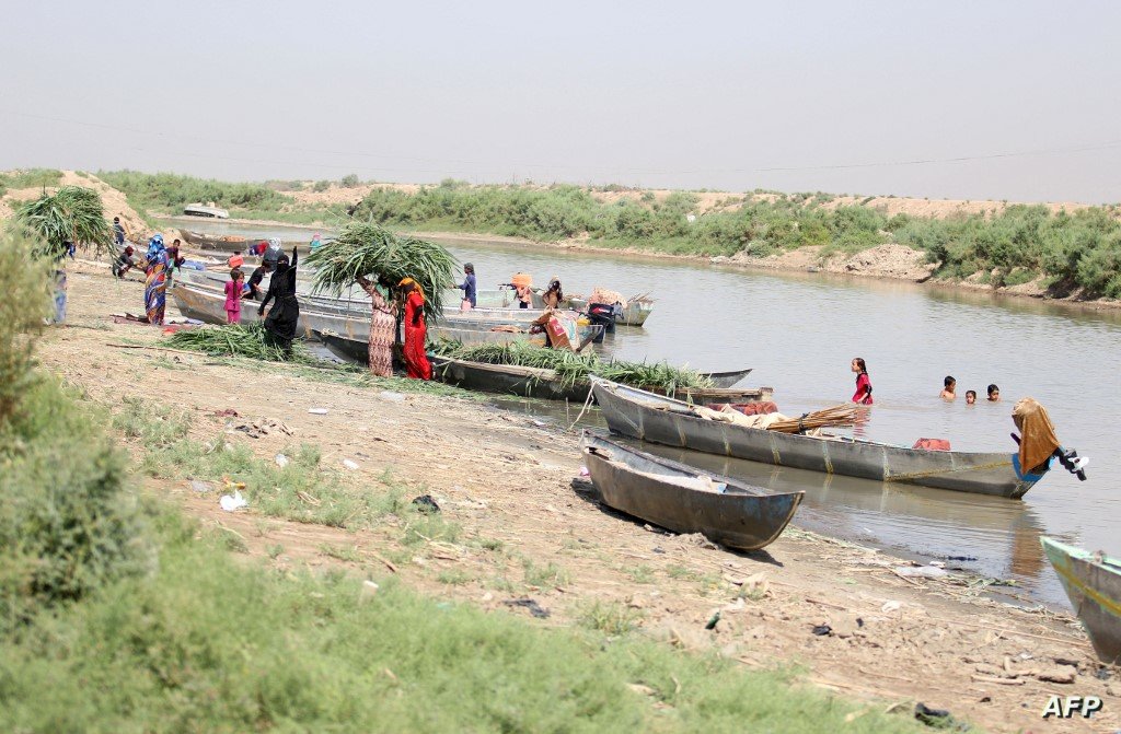 كارثة بيئية.. الاسدي: اهوار العراق خارج الحياة