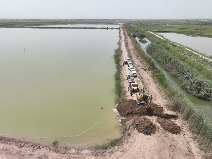 الموارد المائية: إزالة 1800 بحيرة تربية اسماك تعود لجهات متنفذة