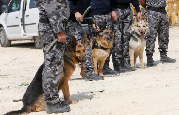 ضبط إجراءات شراء كلاب بوليسية غير صالحة للعمل بأسعار خيالية في بلدية العمارة