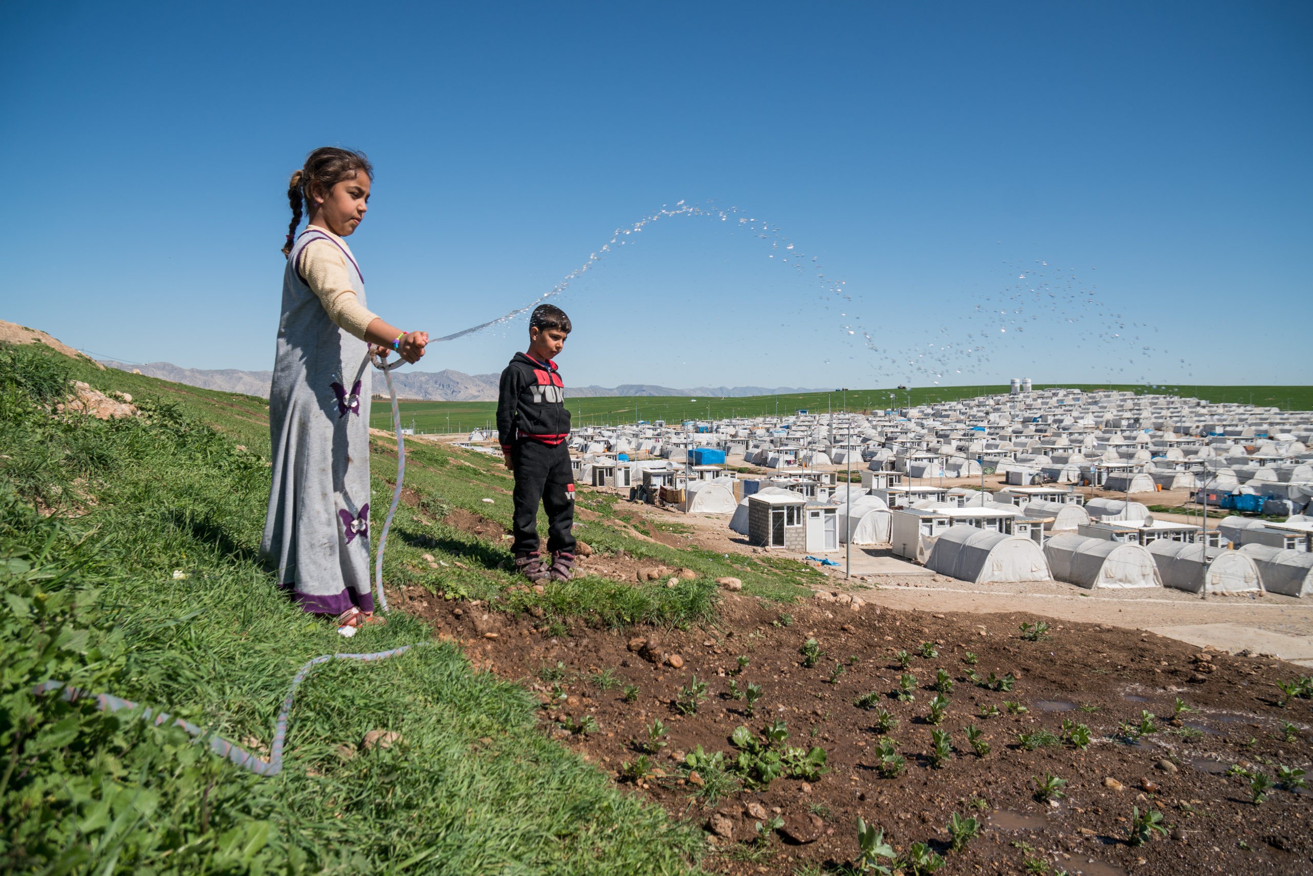 مصادر: القوى الكردي تستخدم ملف النازحين كورقة ضغط للحصول على مكاسب