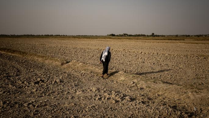 العراق خسر 82 الف دونم زراعي بسبب عمليات التجريف الممنهجة للبساتين
