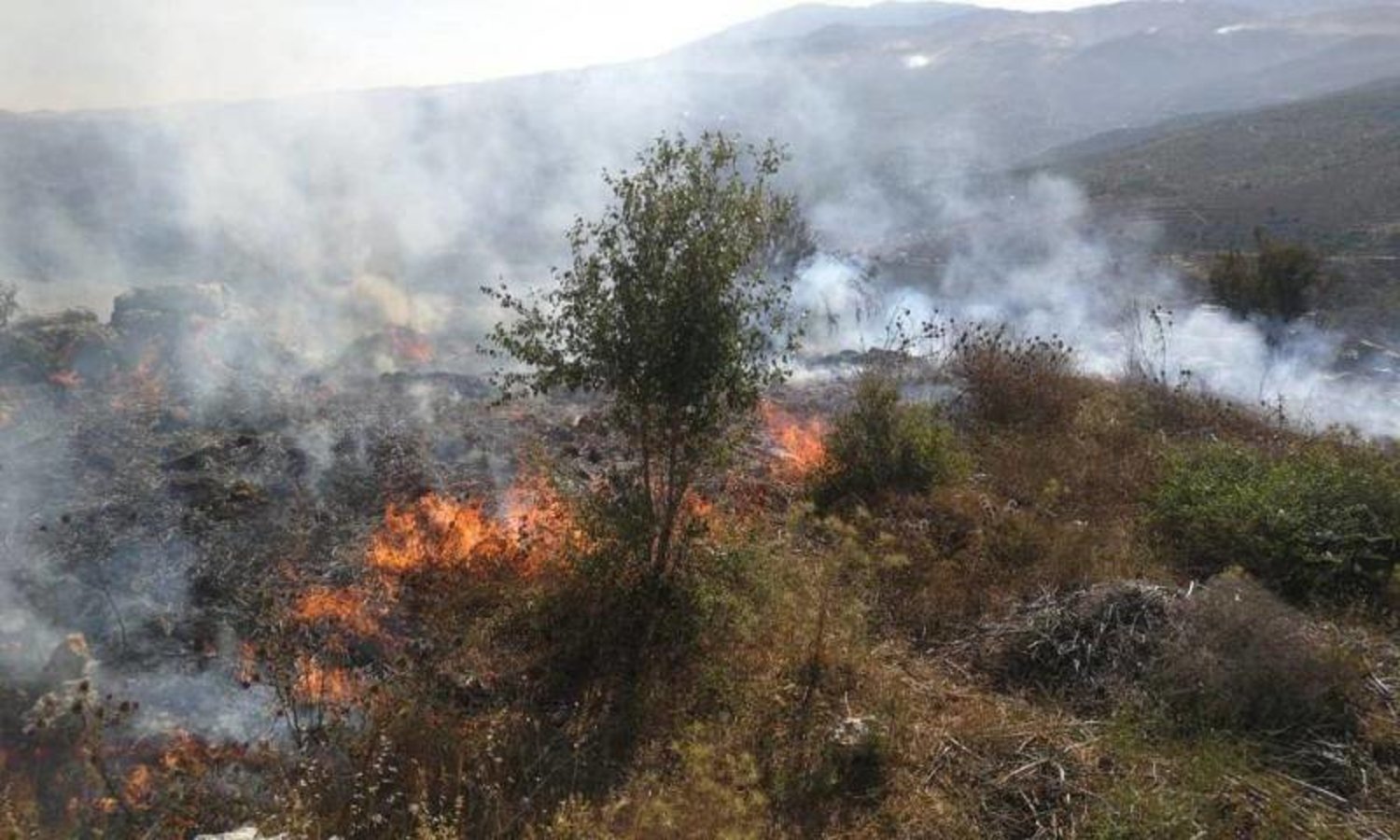 النيران تواصل التهام أحراج بإقليم الخروب في لبنان