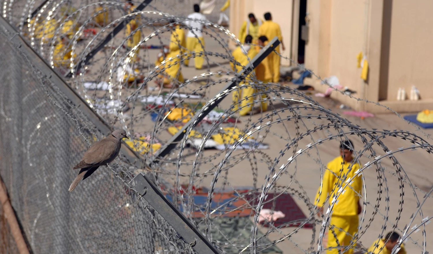 مراقبون : بعض القوى السُنية تضغط لإقرار قانون العفو العام لتوظيفه سياسيا