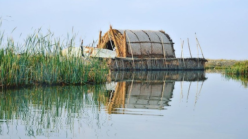 خبير اقتصادي: التقصير يطال جميع الجهات وزارات وسفارات
