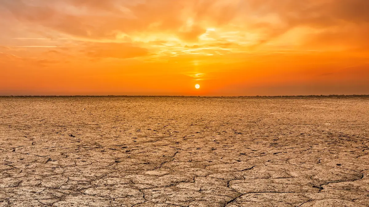 مراقبون: الحكومة تخلت عن زراعة أكثر من 7 ملايين دونم في الخطة الزراعية