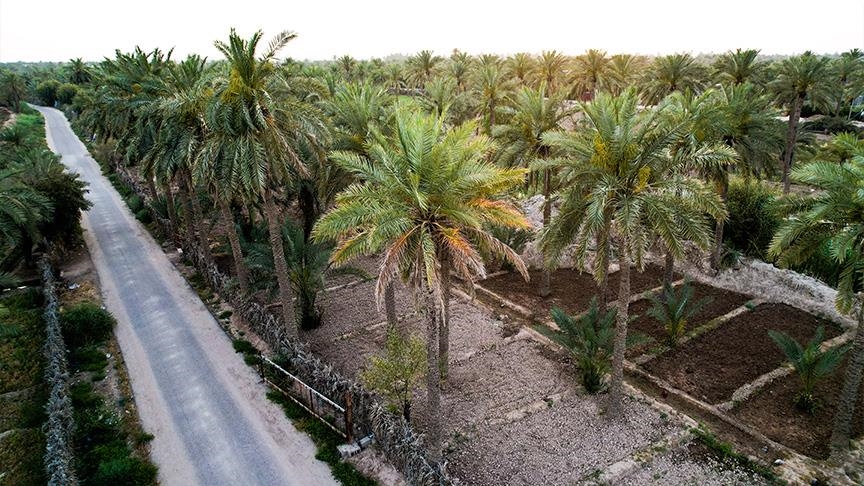 فقد 1200 صنف من النخيل.. استهلاك العراق من المياه اكبر من إيراداته بـ7% وضياع 40% من المحاصيل