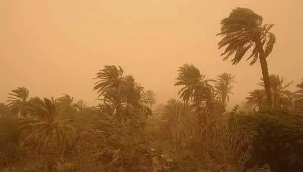 طقس العراق.. تصاعد الغبار وارتفاع بدرجات الحرارة خلال الأيام المقبلة