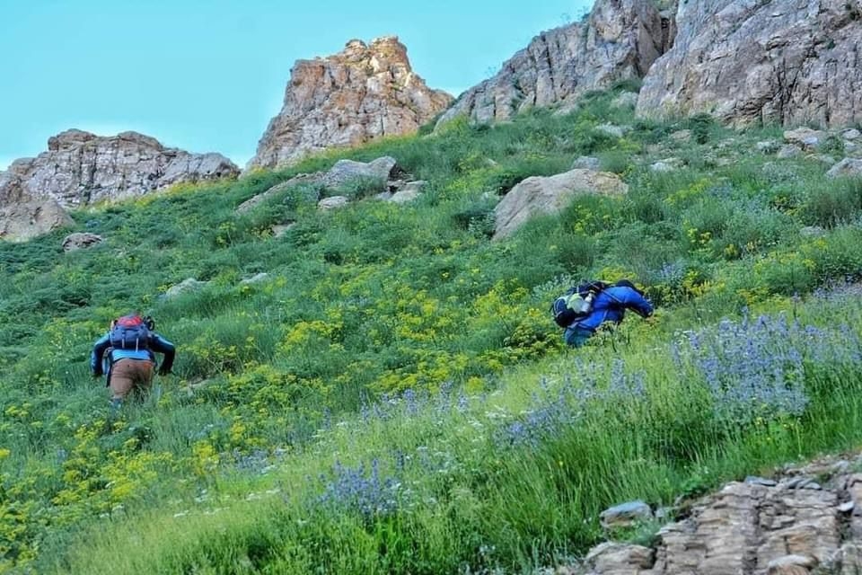 مصرع شخص اثر سقوطه من مرتفع جبلي في “منتجع پرژي” بقضاء چومان في اربيل