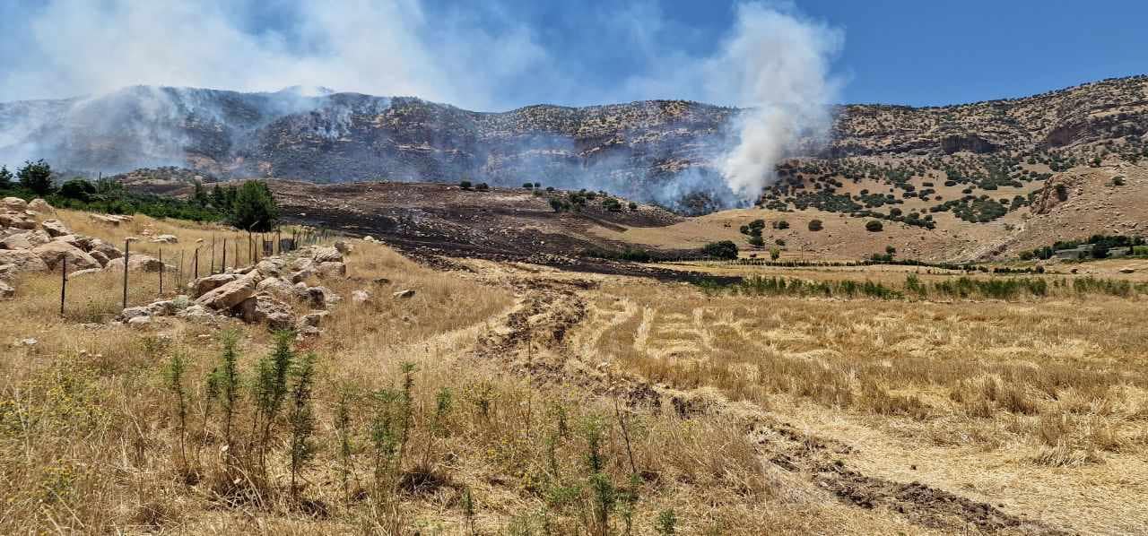 ‏اعتقال شخص تسبب بإحراق 500 دونم من الغابات وإتلاف 60 ألف شجرة في محافظة السليمانية شمال العراق