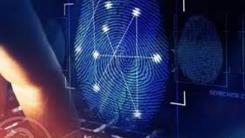 مصر.. “فخ إلكتروني” لاصطياد مرتكبي جرائم الإنترنت وسارقي الحسابات