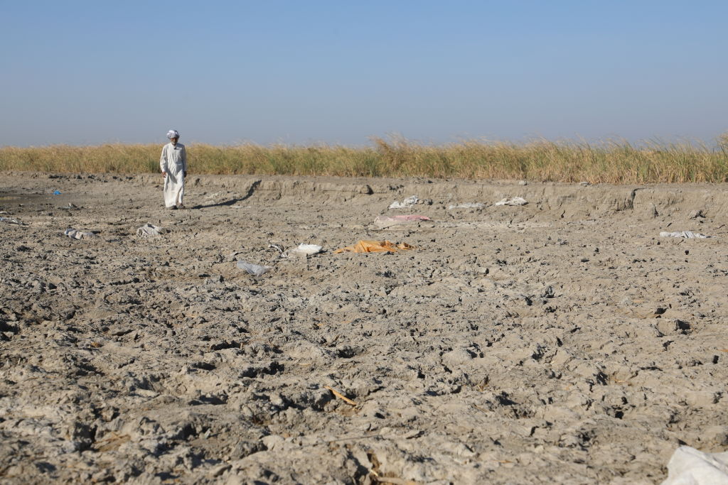 خبير زراعي: نسبة التصحر في العراق وصلت الى أكثر من 53 % من مساحة البلد