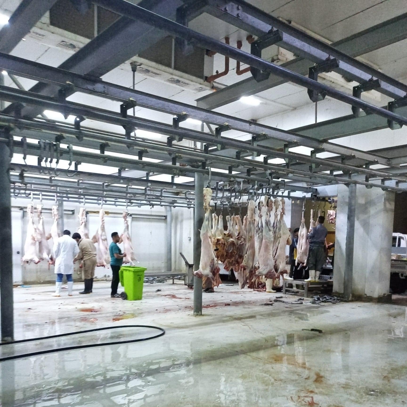 النزاهة ترصد مخالفات وهدر وسرقات بكلفة 11 مليون دولار بإنشاء مجزرة نموذجية في كربلاء