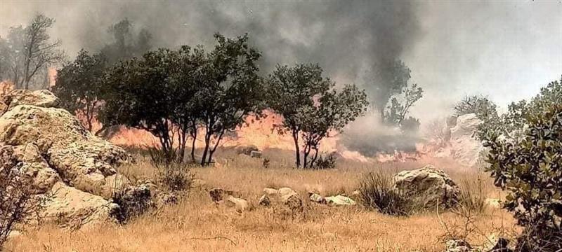حريق يلتهـم 15 دونمـا من الأشجار في بلدة سيتك بمحافظة السليمانية