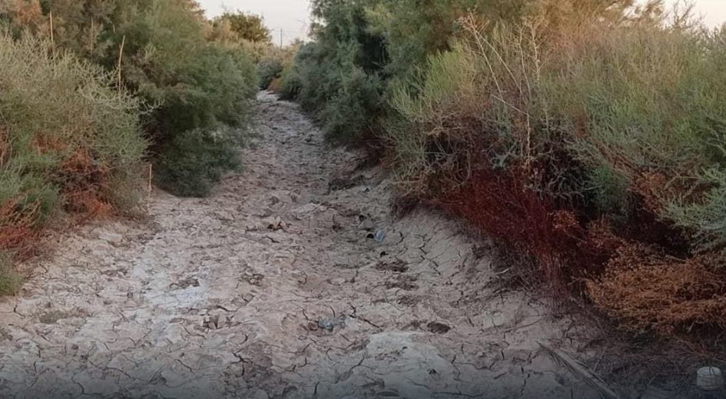 بالصور || قضاء الإصلاح الذي يعتبر السلة الغذائية لمحافظة ذي قار، يشكو الجفاف الذي سبب انعدام مياه الشرب وتلاشي الزراعة وهجرة الكثير من أهالي القرى بعد موت مواشيهم