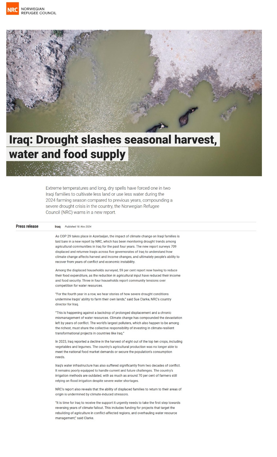 المركز النرويجي للاجئين: الجفاف يقلص المحاصيل الموسمية وإمدادات المياه والغذاء في العراق