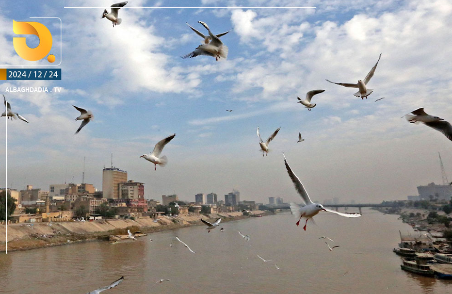 طقس العراق.. أمطار في الشمال وارتفاع بالحرارة بالوسط والجنوب خلال الأربعة أيام المقبلة
