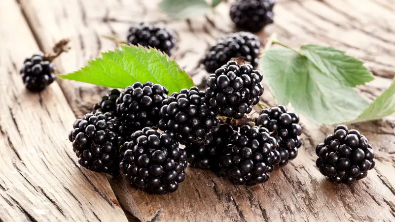 الذهب الأسود… فاكهة سحرية لعلاج الأمراض