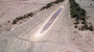 مصادر حكومية: الموارد المائية لن تطرح خطة زراعية صيفية هذا العام بسبب تراجع الخزين المائي