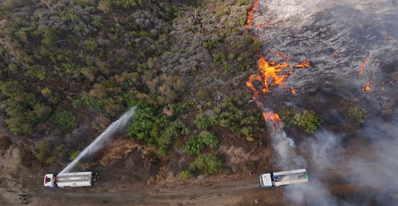 الإدارة الذاتية لشمال وشرق سوريا: مستعدون للمشاركة في إخماد حرائق الساحل السوري
