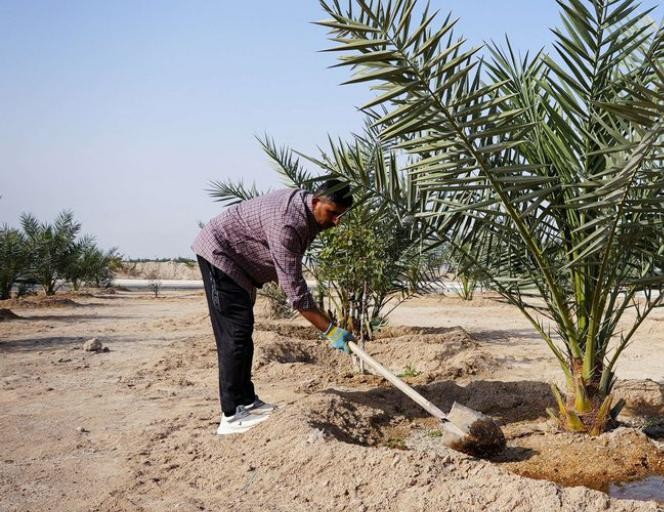 مجلة نيتشر فود الدولية: العراق من بين ستة دول تعجز عن تحقيق الاكتفاء الغذائي