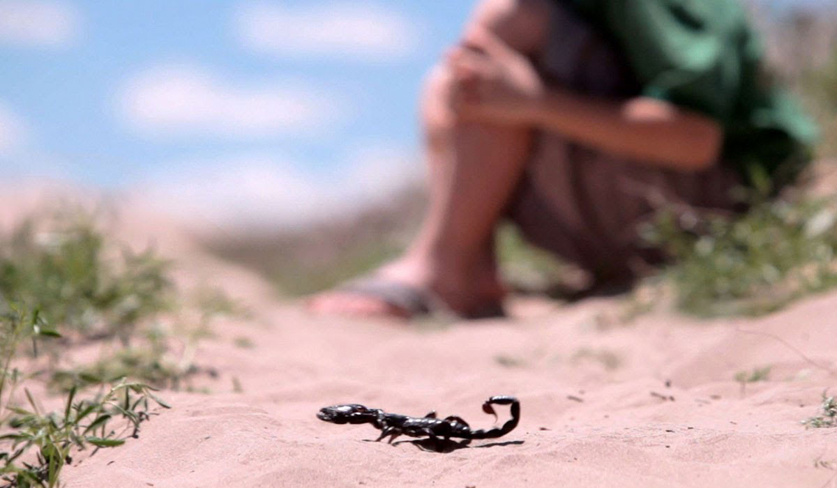 صندوق خيري يخصص نحو 100 مليون دولار للبحث عن علاج للدغات الثعابين