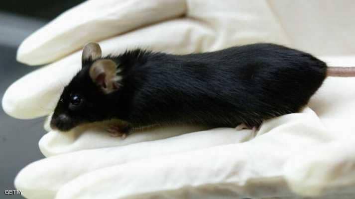 باحثون “يقضون” على الزهايمر بالأجسام المضادة