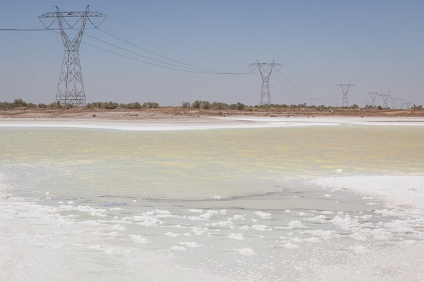 ميدل إيست آي: الجفاف والملوحة .. مزارعو العراق فقدوا الأمل
