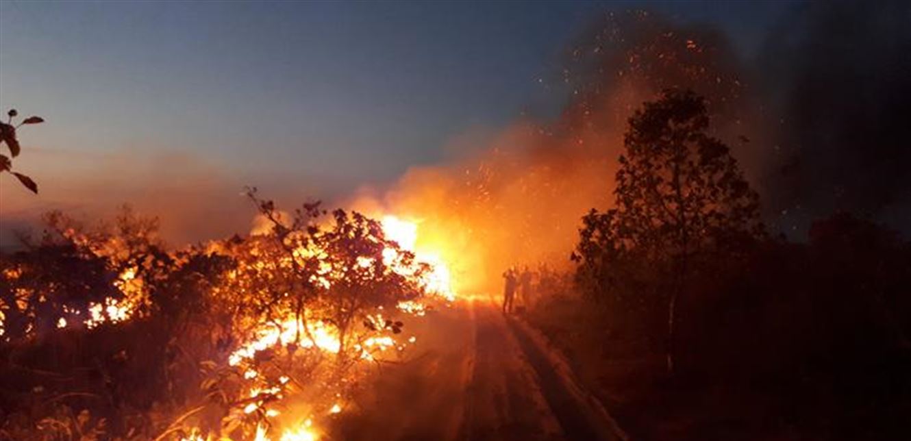 خبيرا أرصاد: الأمطار لن تخمد حرائق الأمازون لأسابيع