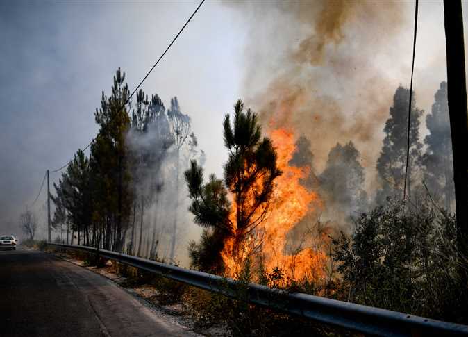 اليونان تكافح حريق غابات على جزيرة إيفيا والدخان يغطي سماء أثينا