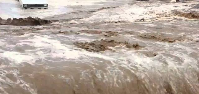 ارتفاع وفيات سيول الأردن إلى 20