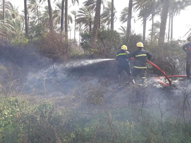 اخماد حريق نشب في ثلاثة بساتين في ديالى