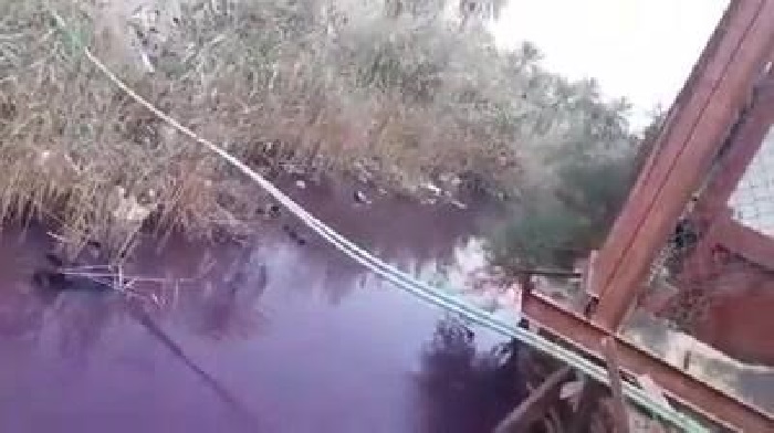 فيديو يظهر أحد الانهار التي تعرضت للتلوث في  قضاء ابو الخصيب جنوب البصرة