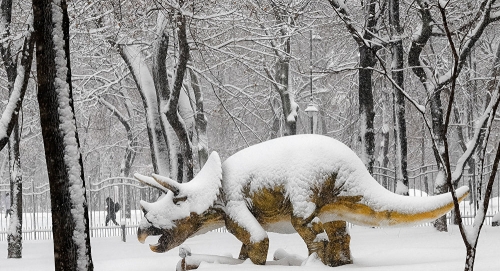 العثور على اثر لاعظم حيوان في التاريخ