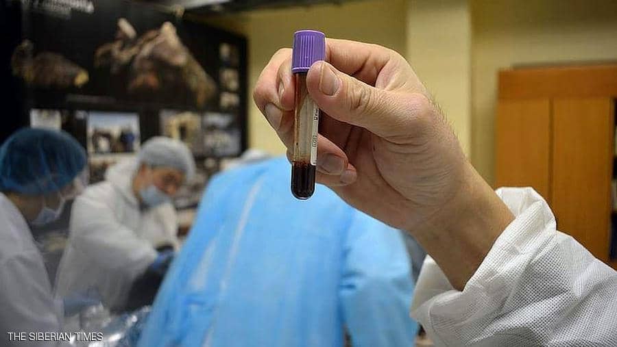 دم سائل بجثة عمرها 42 ألف سنة.. وآمال باستنساخ حيوان منقرض