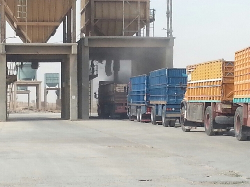 التجارة تحدد ضوابط جديدة لاستلام الحنطة المسوقة