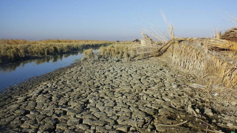 انخفاض مناسيب المياه في ذي قار يهدد بتوقف الطاقة الكهربائية بالمحافظة