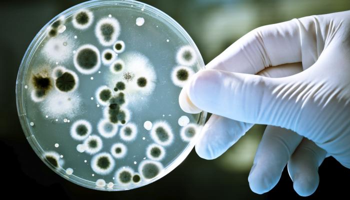 علماء يفكون الرموز الجينية لأكثر من 3000 بكتيريا خطيرة